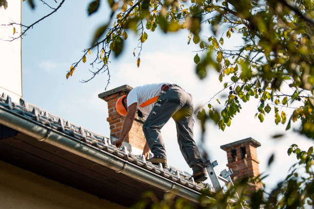 Best Gutter Installation and Roofing  in Orida Gulf Coast University, FL